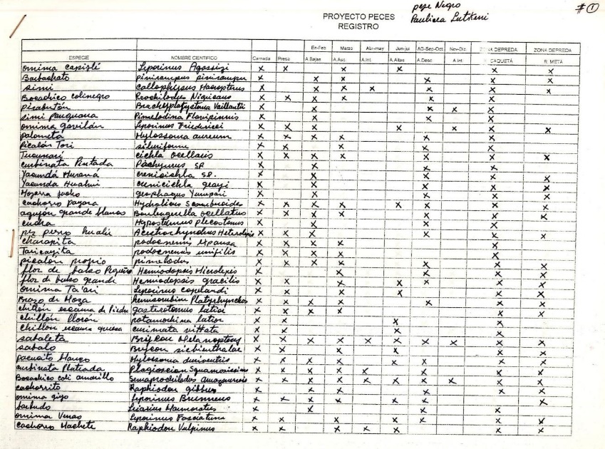 C:\Documents and Settings\All Users\Documentos\IMAGENES PRESENTACION CONGRESO\REGISTRO DE PECES LUIS ANGEÑ.jpg