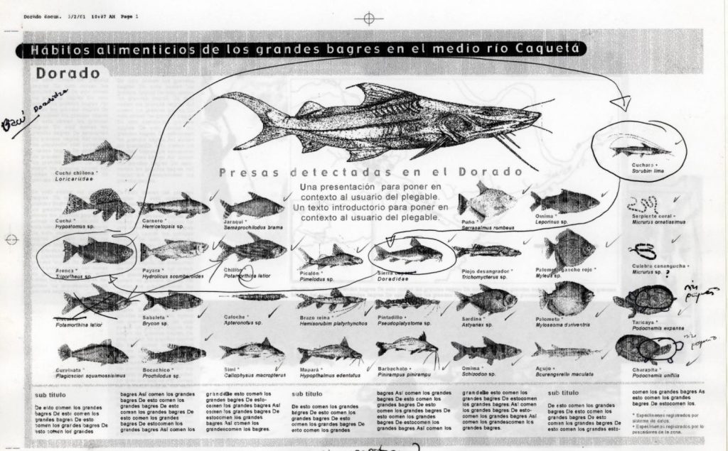C:\Documents and Settings\All Users\Documentos\simposio peces\CUADRO HABITOS ALIMENTICIOS.jpg