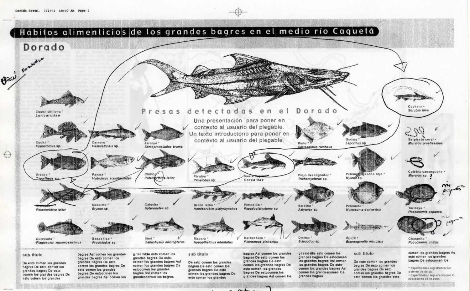 C:\Documents and Settings\All Users\Documentos\simposio peces\CUADRO HABITOS ALIMENTICIOS.jpg